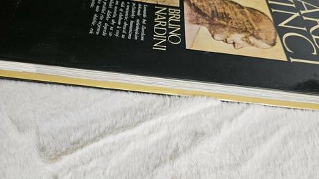 Kniha leonardo da vinci, bruno nardini, 