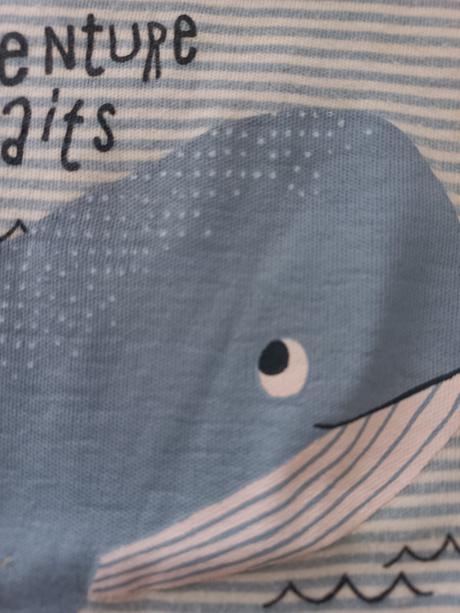 Body 74 baby club, baby club,74