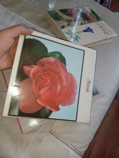 3x kniha,ruze,skalický,tsunami,