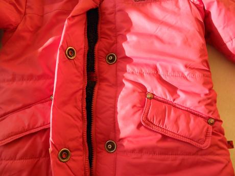 Kabat, mariquita,104