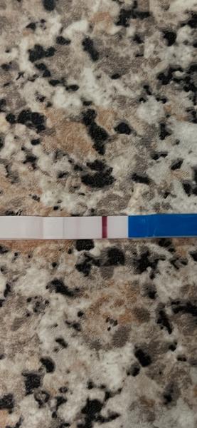 Čo vidíte na teste?