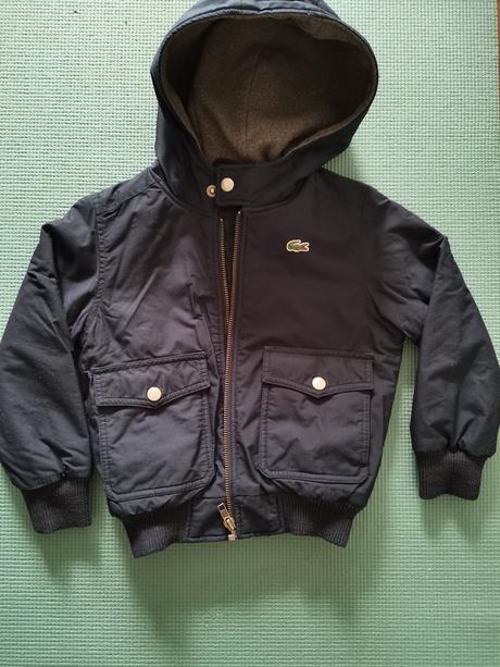 Bunda lacoste, lacoste,104