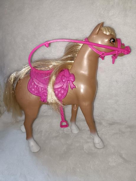 Menší koník s ohradou, 