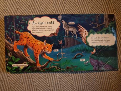 Ki lakik az erdőben,