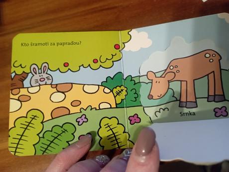 Mini leporelo v lese, 