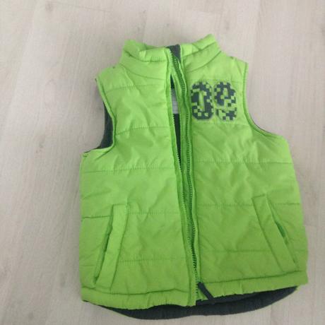 Jarna vesta, topolino,98