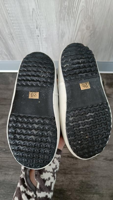 Aigle snehule, aigle,28