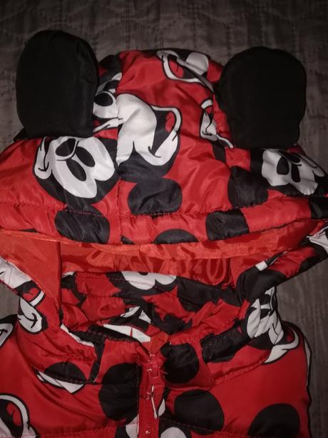 Predám dievčenskú vestu, disney,92