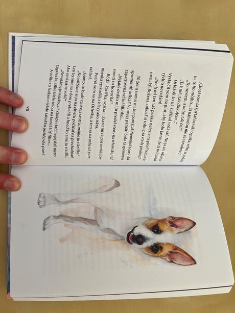 Kniha - gump sme dvojka, 