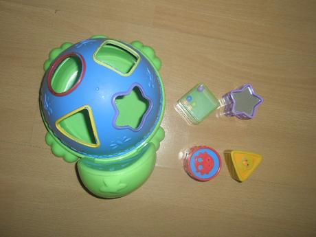 Vkladačka-korytnačka, 