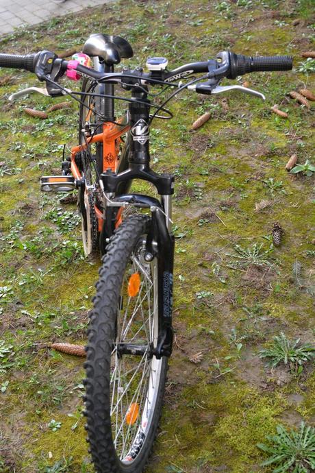 Bicykel vedora, horský, 24", 24