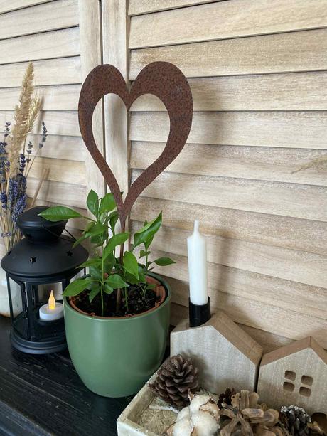 Hrdzavý zápich - srdce, 