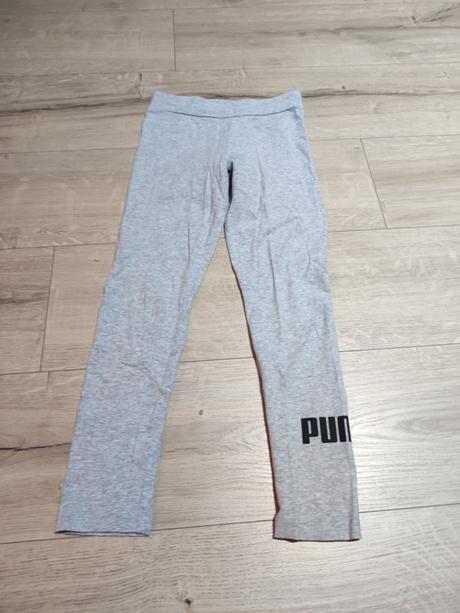 Legíny, puma,140