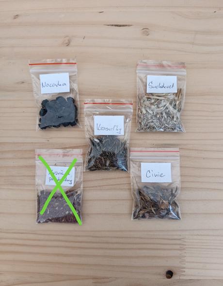 Semienka letničiek, 