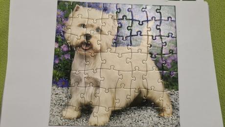 Puzzle zvieratká 3 x 55 ks, 