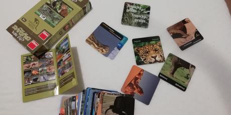 4 sady multifunkčných karticiek - aj, matematika,, 