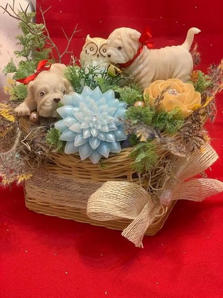 Detska mydlova kytica, 