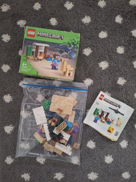 Lego 21251 - steve a vyprava do puste,