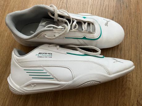 Halovky puma, puma,39