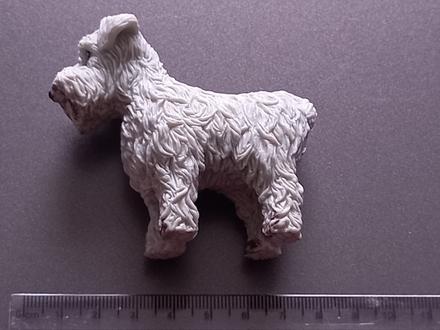 Pes jorkšírsky teriér sivý reaguje na teplo, 