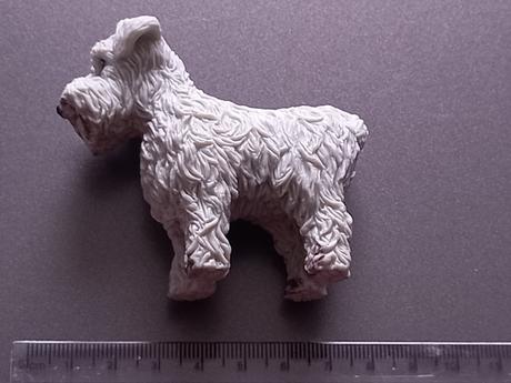 Pes jorkšírsky teriér sivý reaguje na teplo, 