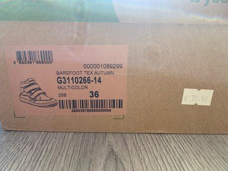 Froddo bf tex autumn 2025 multicolor 36, froddo,36