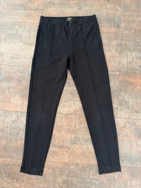 Leginy ovs, ovs,152