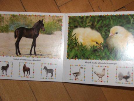 Knižka -leporelo zvieratka madarske, 