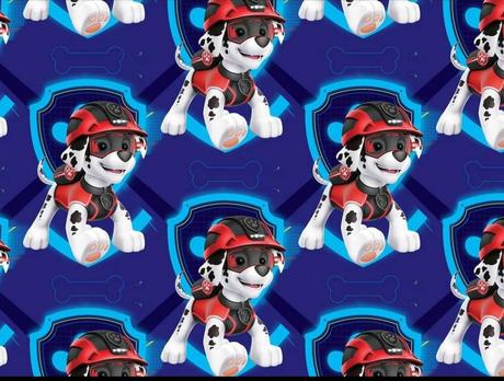 Jednovrstvová čiapka, 36 - xs