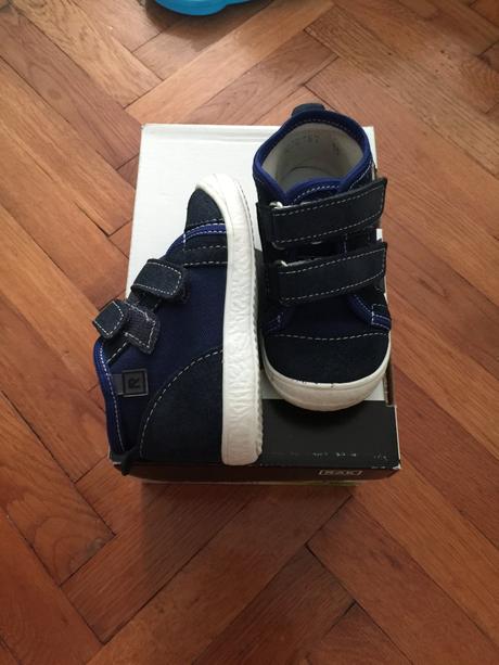 Topanocky rak, rak,19