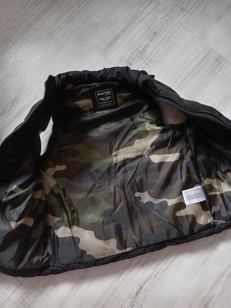 Vesta, chapter young,146