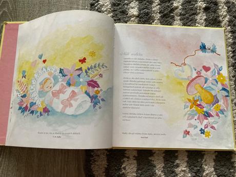 Naše dieťatko pamätná kniha (2015),