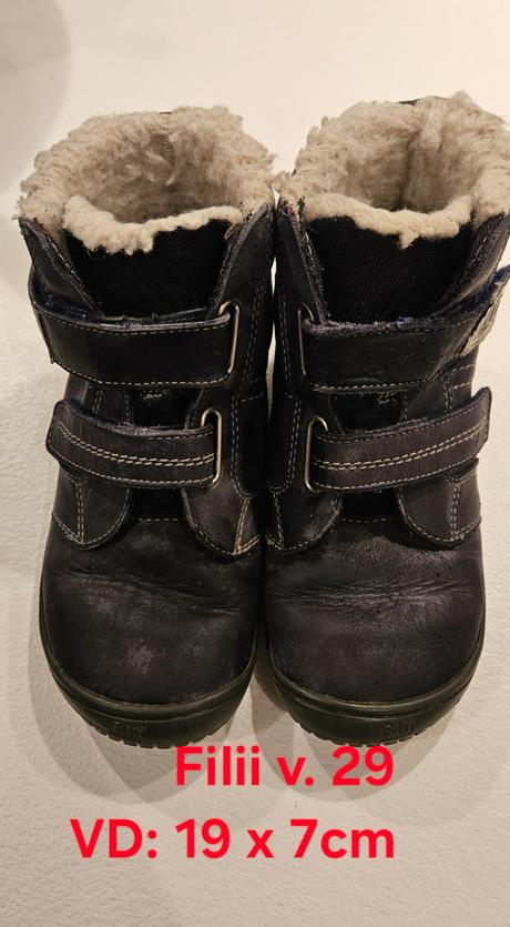 Filii zimne v. 29, filii,29