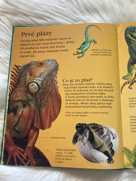 Dinosaury a prehistorický život,