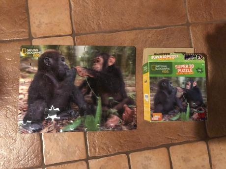 3d puzzle,