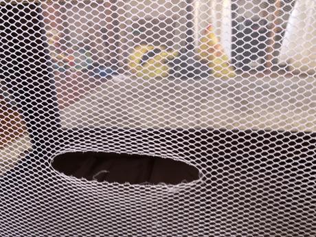 Darujem cestovnú postieľku, šírka (cm): 60,dĺžka (cm): 120