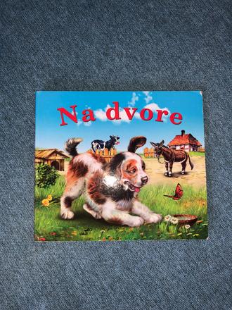 Kniha na dvore,