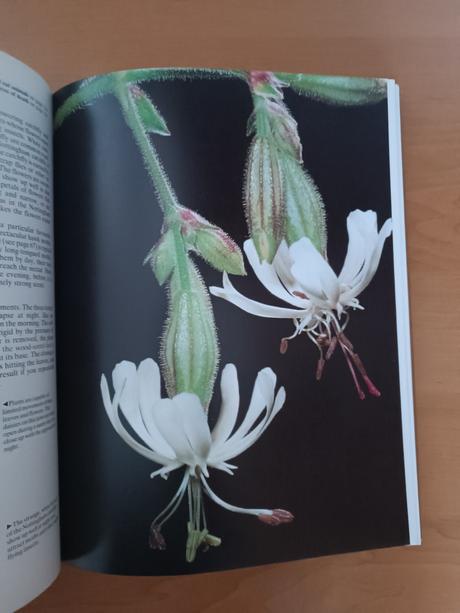 The book of the year, 