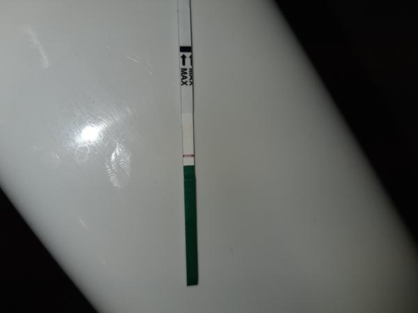 Kanáliky na teste Pepino