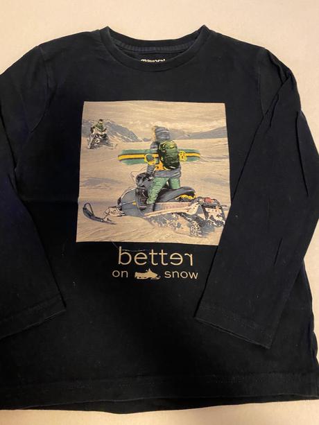 Natielnik modry, mayoral,110