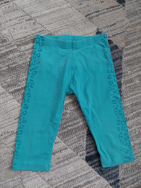 Trištvrťáky č.98, palomino,98