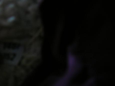 Dievcenska vesta, alive,152