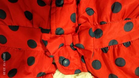 Dievčenský overal, disney,62