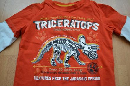 Chlapčenský pulóvrik, kiki&koko,104