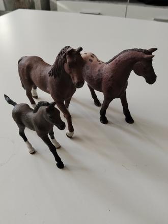 Schleich c.7, 