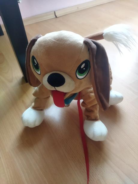 Floppy chodiaci psík dracik, 