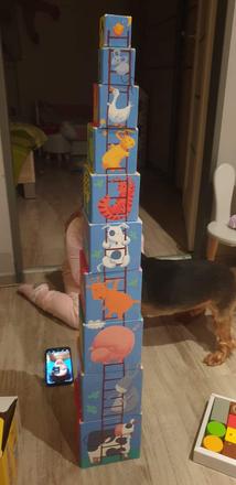 Djeco veza z kartonu,