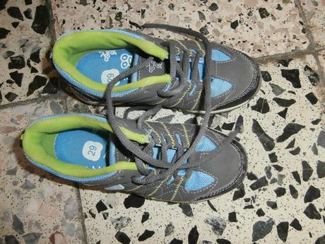 Botasky authority, authority,29