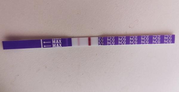 8 DPO - asi som tehotná