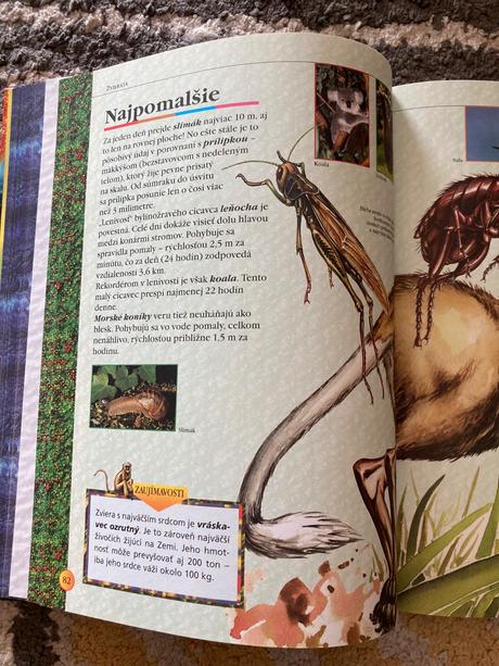 Svetové rekordy (2005), 